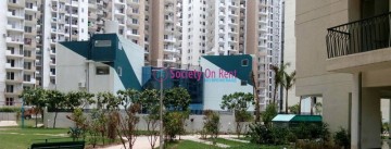 Society On Rent Rental Property Details